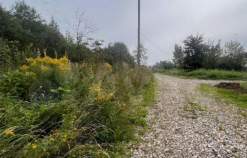 Продать участок 7.0 соток , фотография 2