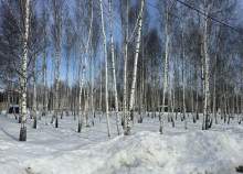 Продать участок 5.0 соток , фотография 2