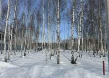 Куплю участок 5.0 соток , фотография 4