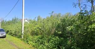 Продать участок 10.0 соток , фотография 2