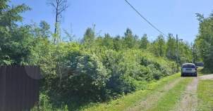 Покупка участок 10.0 соток , фотография 3