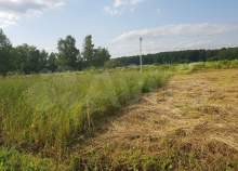 Продать участок 8.6 соток Московская область, Домодедово, Московская обл., г.о. Домодедово, д. Шишкино, КП Шишкино-3, 26 Продать участок 8.6 соток , фотография 2