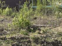 Купить участок 10.0 соток Московская область, Чехов, Чеховские Усадьбы кп, Купить участок 10.0 соток , фотография 6