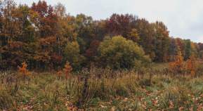 Куплю участок 12.0 соток , фотография обложки