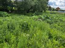 Куплю участок 10.0 соток , фотография 4