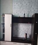 Продажа недвижимости Московская область, Чехов муниципальный округ, пос. Васькино, Цена на 1-комнатную квартиру , фотография 1