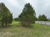 Куплю участок 10.0 соток , фотография 4