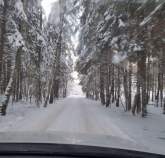 Покупка участок 12.0 соток , фотография 3