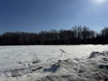 Покупка участок 6.0 соток , фотография 3