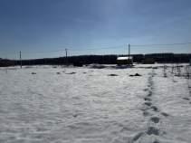 Купить участок 6.0 соток , фотография 5