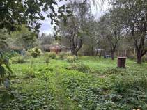 Продать участок 8.1 соток , фотография 2