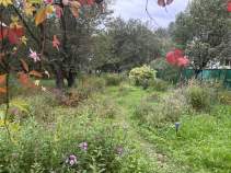 Купить участок 8.1 соток , фотография 9