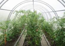 Цена на участок 7.0 соток , фотография 1