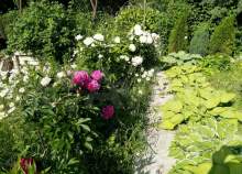 Купить участок 7.0 соток , фотография 5