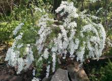 Купить участок 7.0 соток , фотография 6