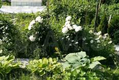 Купить участок 7.0 соток , фотография 7