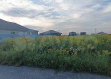 Куплю участок 8.0 соток , фотография обложки