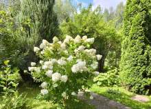 Продать дом на участке  соток , фотография 2