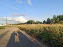 Продажа недвижимости Московская область, Домодедово городской округ, д. Матчино, Цена на участок 6.1 соток , фотография 1