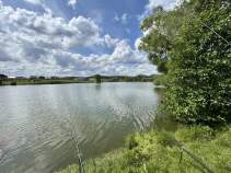 Купить участок 8.0 соток Московская область, Домодедово городской округ, д. Матчино, Земляничная Поляна кп, 99 Купить участок 8.0 соток , фотография 5