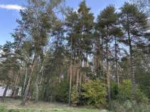 Куплю участок 5.0 соток , фотография обложки