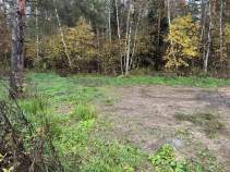 Покупка участок 5.0 соток , фотография 3