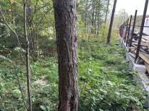 Купить участок 5.0 соток , фотография 9