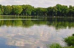 Цена на участок 6.4 соток , фотография 1