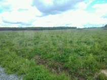 Покупка участок 6.6 соток , фотография 3