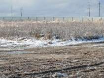 Купить участок 6.6 соток , фотография 6