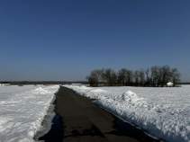 Фотография Участок в Московская область, Домодедово городской округ, д. Шишкино, Новое Растуново кп 250 (5.0 сот.), 250 Куплю участок 5.0 соток , фотография обложки