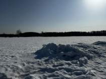 Продать участок 5.0 соток Московская область, Домодедово городской округ, д. Шишкино, Новое Растуново кп, 250 Продать участок 5.0 соток , фотография 2