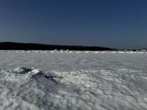 Продается участок 5.0 соток Московская область, Домодедово городской округ, д. Шишкино, Новое Растуново кп, 250 Куплю участок 5.0 соток , фотография 4