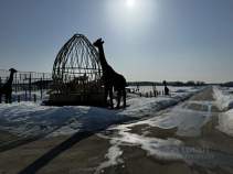 Купить участок 5.0 соток Московская область, Домодедово городской округ, д. Шишкино, Новое Растуново кп, 250 Купить участок 5.0 соток , фотография 5