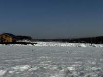 Купить участок 5.0 соток , фотография 8