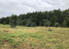 Цена на участок 10.8 соток , фотография 1