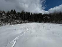 Продать участок 6.0 соток , фотография 2