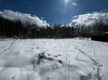 Покупка участок 6.0 соток , фотография 3