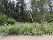 Куплю участок 8.0 соток , фотография обложки