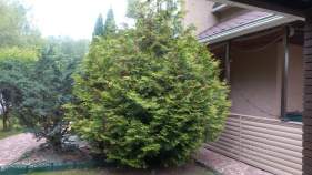 Купить дом на участке  соток , фотография 5