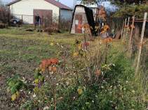 Купить участок 6.5 соток , фотография 9