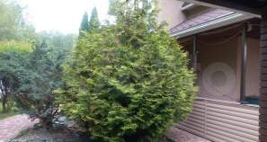 Купить дом на участке  соток , фотография 6