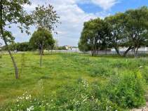 Купить участок 5.3 соток Московская область, Подольск городской округ, Новое Коледино кп, 88 Покупка участок 5.3 соток , фотография 3