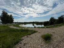 Купить участок 5.3 соток Московская область, Подольск городской округ, Новое Коледино кп, 88 Купить участок 5.3 соток , фотография 6