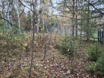 Куплю участок 10.0 соток , фотография 4