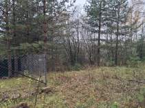 Купить участок 10.0 соток , фотография 7