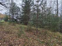 Купить участок 10.0 соток , фотография 9