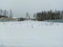 Продажа недвижимости Московская область, Чехов муниципальный округ, Васильково-3 ТСН, Цена на участок 11.0 соток , фотография 1