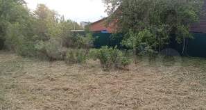 Купить участок 4.8 соток Московская область, Домодедово, Московская обл., г.о. Домодедово, пос. Государственного племенного завода Константиново, территория ОНТ Константиновец-1, 3-я линия, 6 Купить участок 4.8 соток , фотография 5