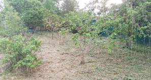 Купить участок 4.8 соток Московская область, Домодедово, Московская обл., г.о. Домодедово, пос. Государственного племенного завода Константиново, территория ОНТ Константиновец-1, 3-я линия, 6 Купить участок 4.8 соток , фотография 6